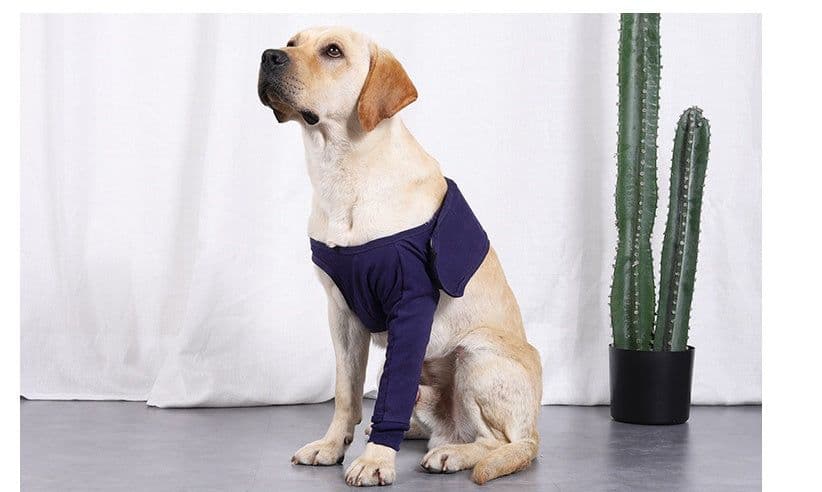 image-New Anti-licking Sleeve For Postoperative Recovery Of Dog Legs Pet