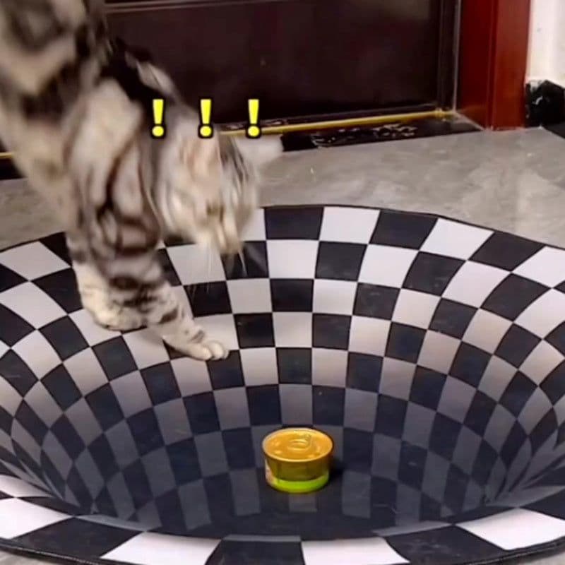 image-Pet Funny Mat Pad Trap Vision Carpet 3D Geometric Stereoscopic Illusion Floor Mat