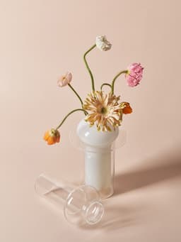 image-Flower Arrangement Hydroponic Plant Living Room Decoration