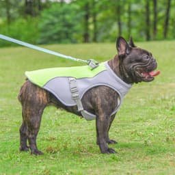 image-Summer Pet Dog Cooling Vest Heat Resistant Cool Dogs Clothes Breathable Sun-proof Clothing For Small Large Dogs Outdoor Walking