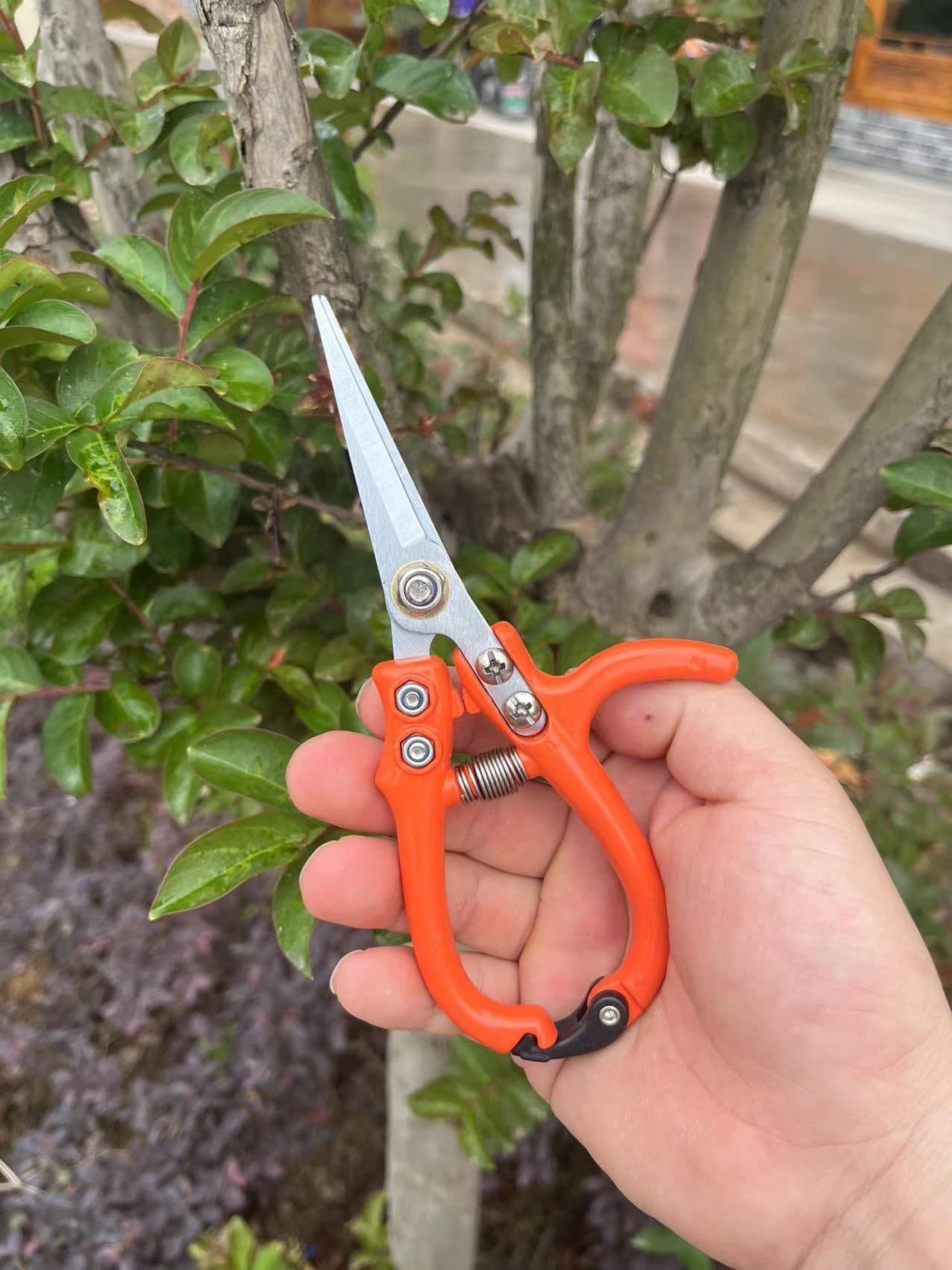 image-Multifunctional Garden Scissors Pruning Shears Manual With Safety Buckle Stainless Steel Spring Gardening Pruning Shear Branch Plant Cutter