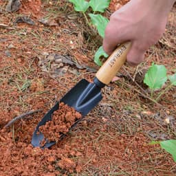 image-Balcony Vegetable Gardening Shovel Beech Black Scale