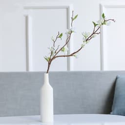 image-Creative Ceramic Vase Hydroponic Vase Decorative Ornaments