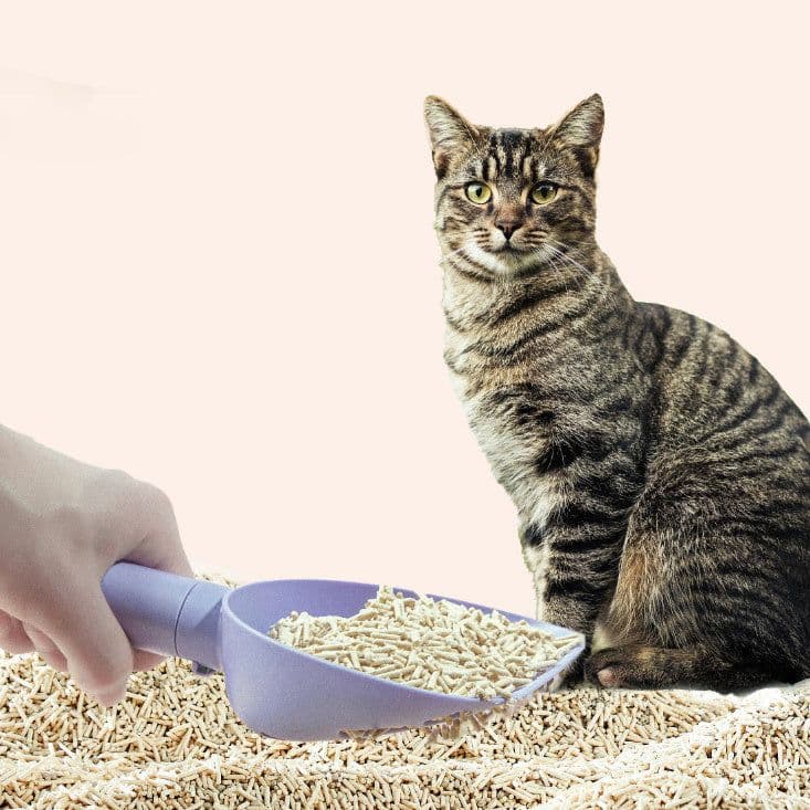 image-Cat Litter Scoop Plastic Cats Poop Scoop With Base Pets Cleanning Tool Cat Toilet Products Durable Litter Box Cleaner Shovel Pet Products