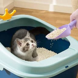 image-Cat Litter Scoop Plastic Cats Poop Scoop With Base Pets Cleanning Tool Cat Toilet Products Durable Litter Box Cleaner Shovel Pet Products