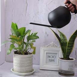 image-Home And Gardening Stainless Steel Long Spout Watering Pot