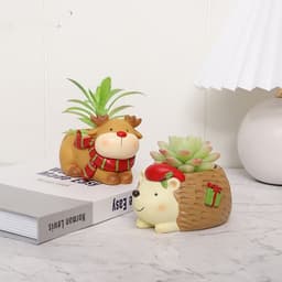 image-Decorative Ornaments Home Gardening Fleshy Flowerpot
