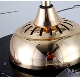 image-Simple Frequency Conversion Crystal Ceiling Fan Lamp