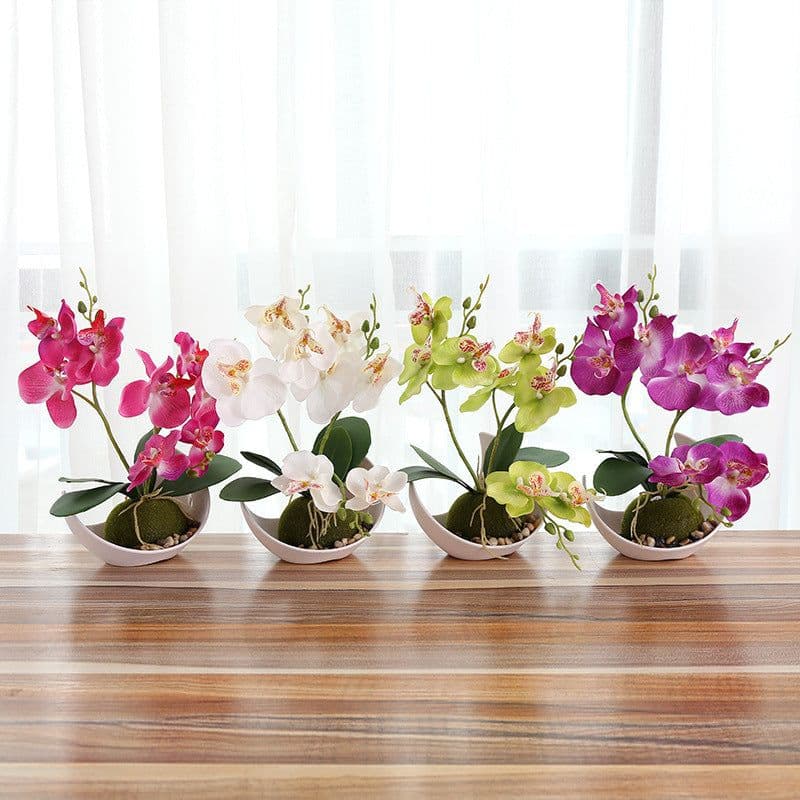 image-Creative Decoration Plants Potted Green