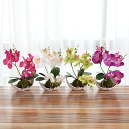image-Creative Decoration Plants Potted Green