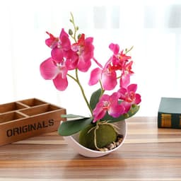 image-Creative Decoration Plants Potted Green