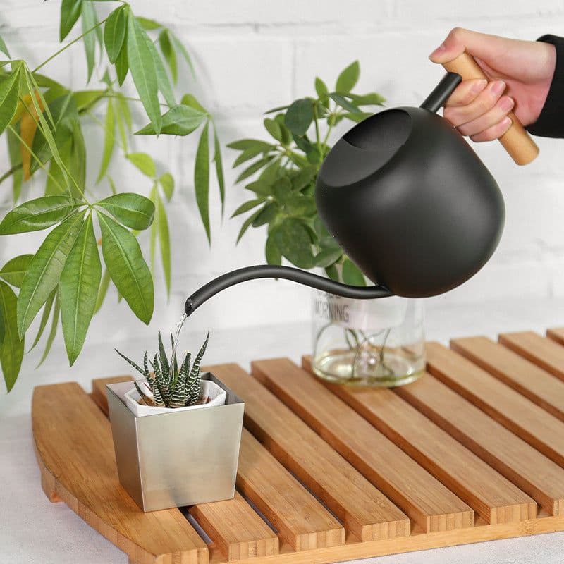 image-Stainless Steel Wood Handle Watering Pot Household Gardening Tools