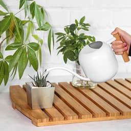 image-Stainless Steel Wood Handle Watering Pot Household Gardening Tools