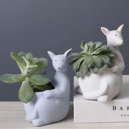 image-Scandinavian Gardening Succulent Cartoon Ceramic Flower Pot
