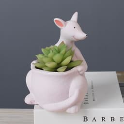 image-Scandinavian Gardening Succulent Cartoon Ceramic Flower Pot