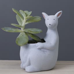 image-Scandinavian Gardening Succulent Cartoon Ceramic Flower Pot