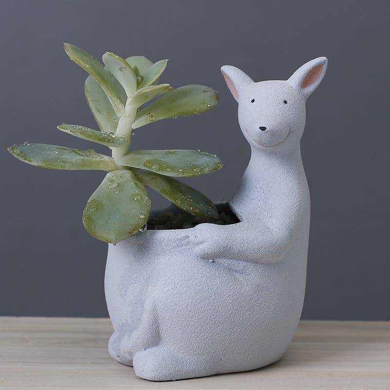 image-Scandinavian Gardening Succulent Cartoon Ceramic Flower Pot