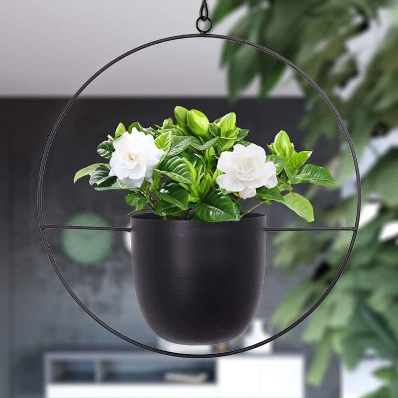 image-Iron Hanging Hydroponic Plant Hanging Orchid Pots