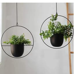 image-Iron Hanging Hydroponic Plant Hanging Orchid Pots