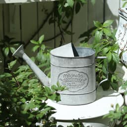 image-Wrought Iron Garden Watering Can Gardening Groceries Decoration