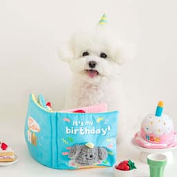 image-Dogs Hide Food Books Pet Toys
