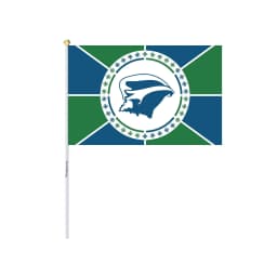 image-Mini Drapeau de la Martinique 2 etailles n plusieurs 100 % polyester