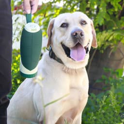 image-2 In 1 Multifunction Pet Dog Water Bottle Silicone Foldable Portable Puppy Food Bowl Drinking Dispenser Travel Labrador Supplies Pet Products