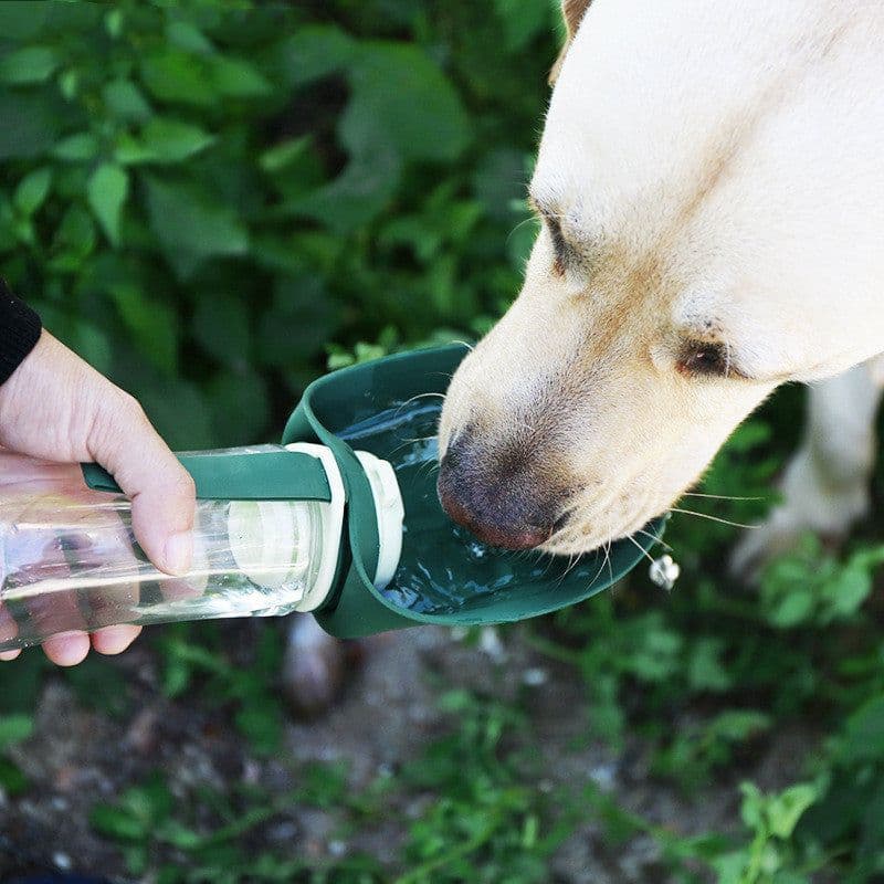 image-2 In 1 Multifunction Pet Dog Water Bottle Silicone Foldable Portable Puppy Food Bowl Drinking Dispenser Travel Labrador Supplies Pet Products