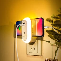 image-Oval Small Night Lamp With Dual USB Charging Port Remote Control Timing Plug-in Wall