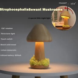 image-Twisted Mushroom Night Warm Light Touch Bedroom Bedhead Night Light Beech Wood LED USB Decorative Atmosphere Lamps Home Decor