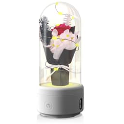 image-Creative 2 In 1 Bouquet LED Light And Bluetooth Speaker Mother's Day Gift Rose Luminous Night Light Ornament In Glass Cover
