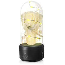 image-Creative 2 In 1 Bouquet LED Light And Bluetooth Speaker Mother's Day Gift Rose Luminous Night Light Ornament In Glass Cover
