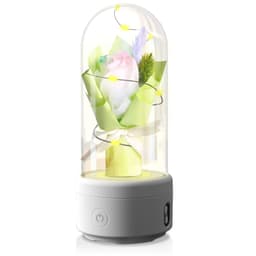 image-Creative 2 In 1 Bouquet LED Light And Bluetooth Speaker Mother's Day Gift Rose Luminous Night Light Ornament In Glass Cover