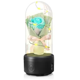 image-Creative 2 In 1 Bouquet LED Light And Bluetooth Speaker Mother's Day Gift Rose Luminous Night Light Ornament In Glass Cover