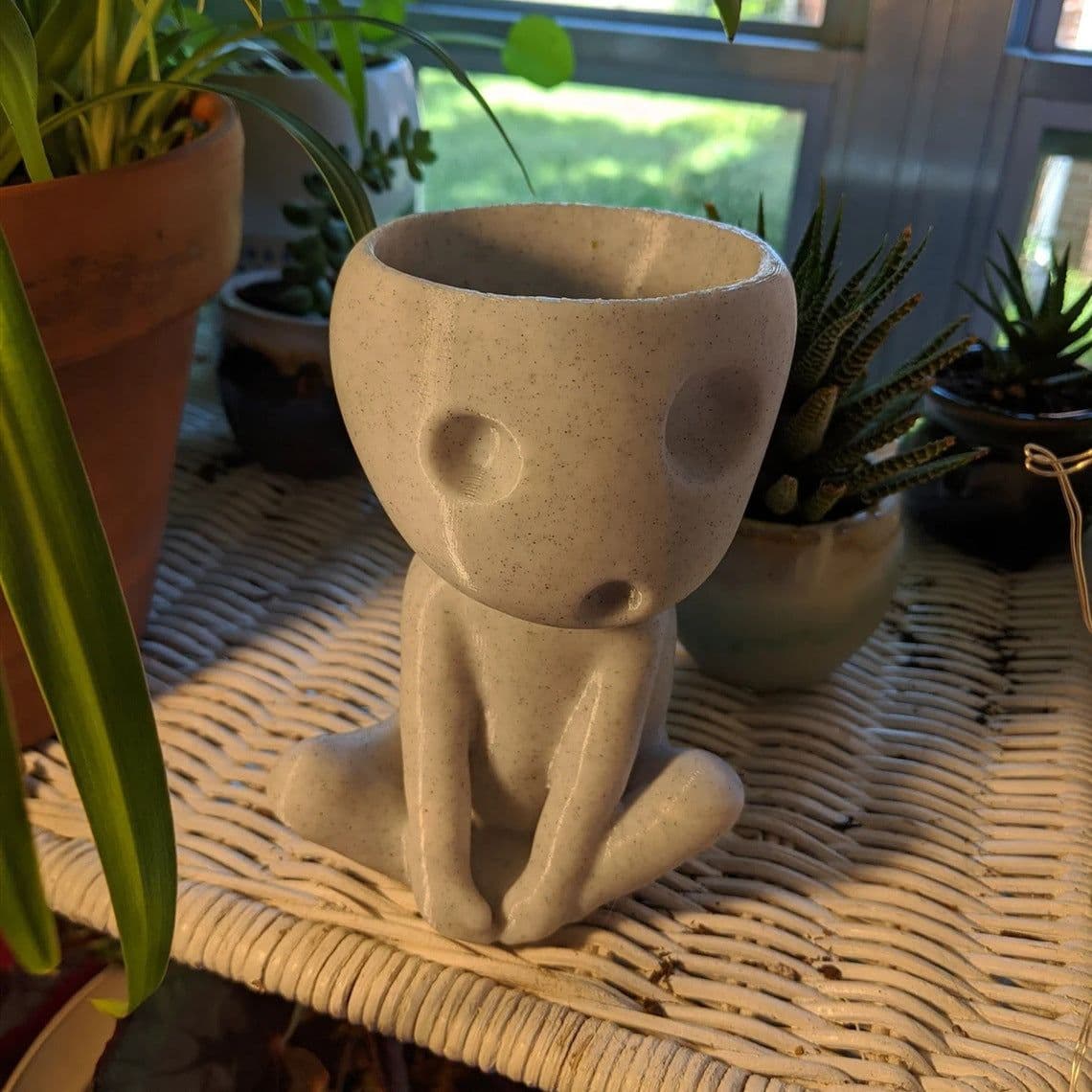 image-Nightglow Succulent Small Flowerpot Tabletop Garden Decoration