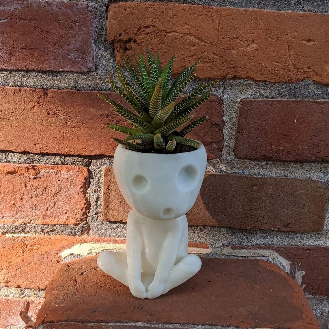 image-Nightglow Succulent Small Flowerpot Tabletop Garden Decoration