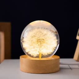 image-LED Night Light Flower Crystal Ball Children Night Lamp With Woodern Base Bedroom Ambient Light Creative Gift Night Light