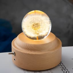 image-LED Night Light Flower Crystal Ball Children Night Lamp With Woodern Base Bedroom Ambient Light Creative Gift Night Light