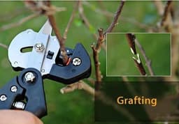 image-Garden Fruit Tree Pro Pruning Shears Scissor Grafting Cutting Tool 2 Blade Garden Tools Set Pruner Tree Cutting Tool