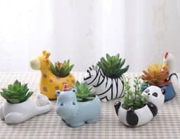 image-Creative Cartoon Animal Succulent Plant Pot