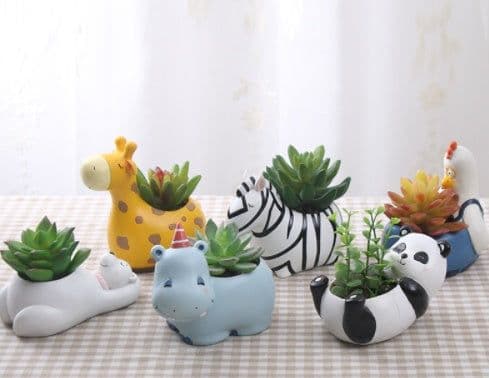 image-Creative Cartoon Animal Succulent Plant Pot
