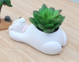 image-Creative Cartoon Animal Succulent Plant Pot