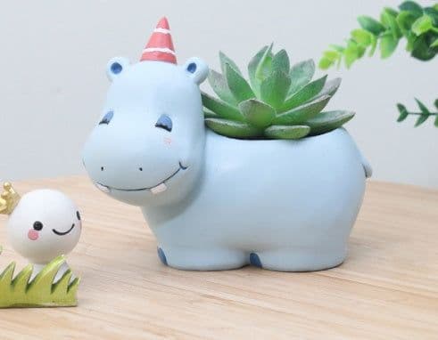 image-Creative Cartoon Animal Succulent Plant Pot