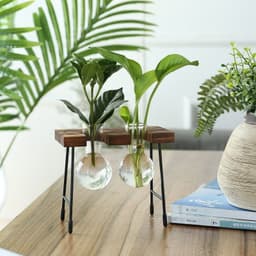 image-Rustic Plant Terrarium with Wooden Stand (Various Sizes)