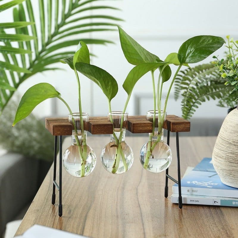 image-Rustic Plant Terrarium with Wooden Stand (Various Sizes)