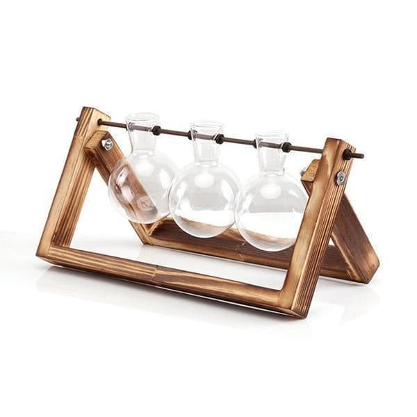 image-Rustic Plant Terrarium with Wooden Stand (Various Sizes)