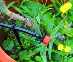 image-25M Micro Drip Irrigation System Agriculture Sprinkler Garden Plant Flower Automatic Spray Watering Tool Kit Atomization Z25