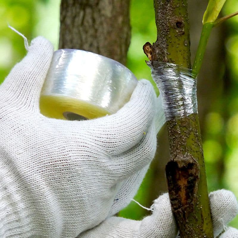 image-2CM x 100M / 1 Roll Grafting Tape Garden Tools Fruit Trees Secateurs Graft Branch Gardening bind belt PVC Tie Tape