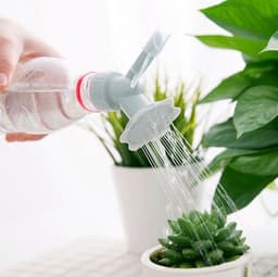 image-Small transparent curved mouth watering flower long mouth watering pot