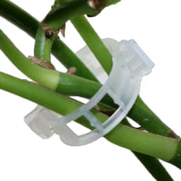 image-Garden Supplies Pliers Plants 50 Pieces